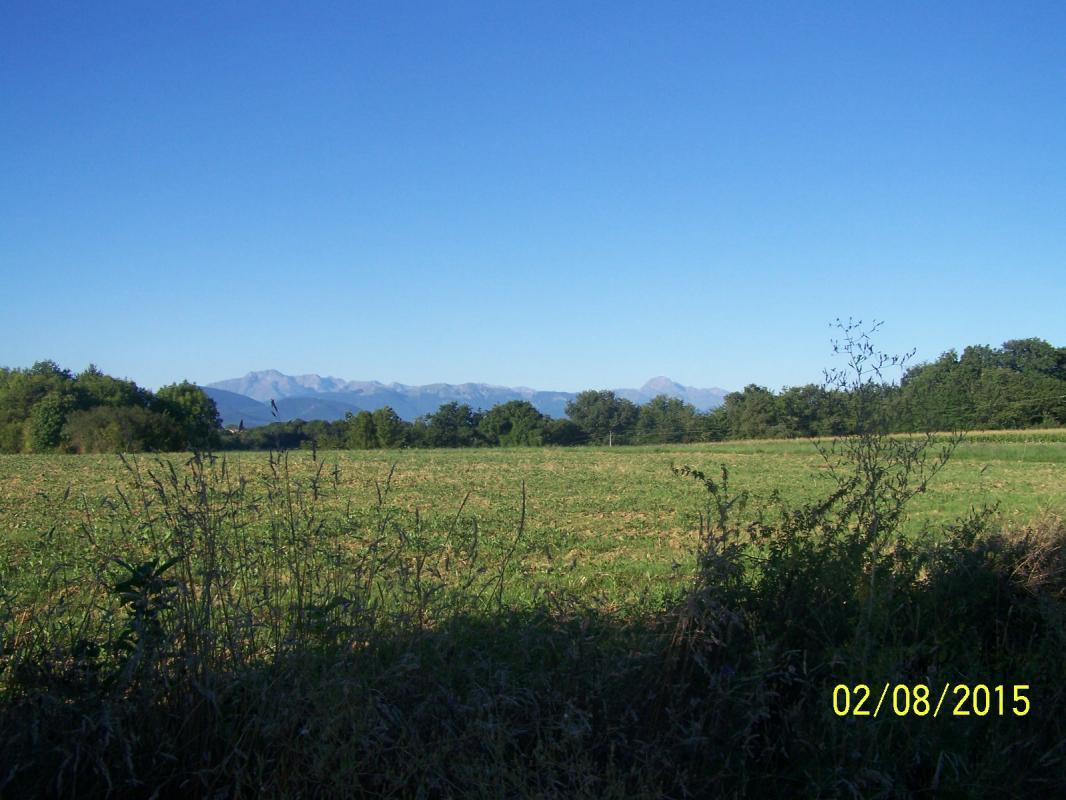 photo 51