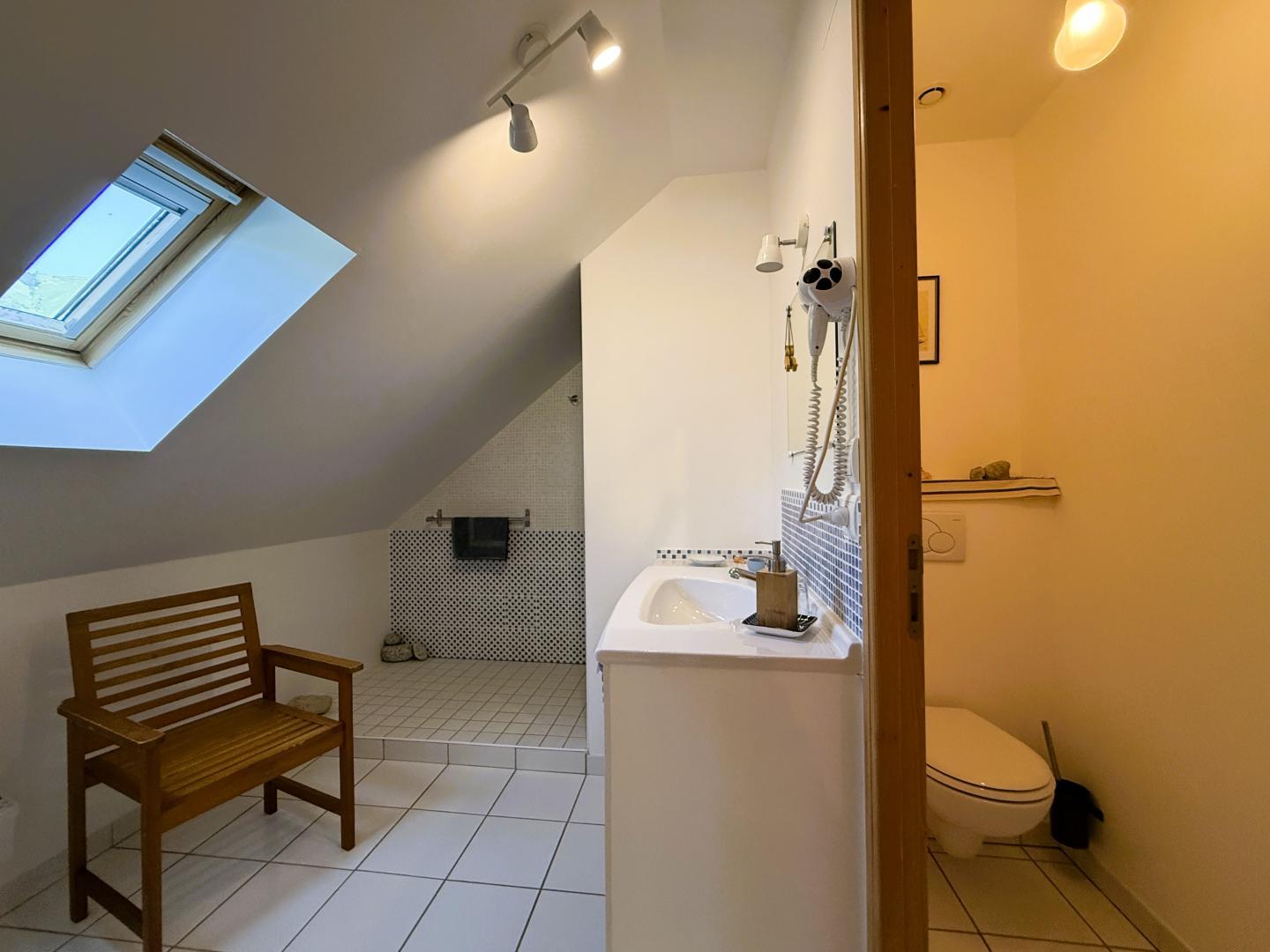 salle d'eau privative Aquamarine avec wc séparés photo 50