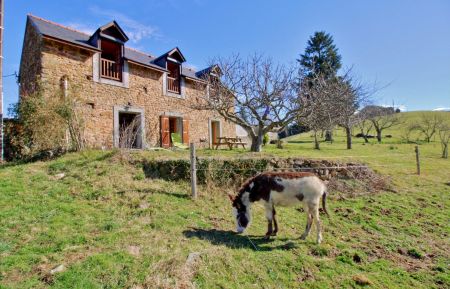 G&icirc;te n&deg;65G003511 Saint-P&eacute;-de-Bigorre - Hautes-Pyr&eacute;n&eacute;es - photo