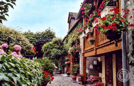 Gîte n°65G128012 Pierrefitte-Nestalas - Hautes-Pyrénées - photo