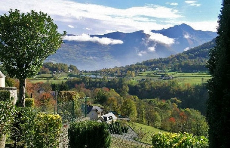 photo 0
