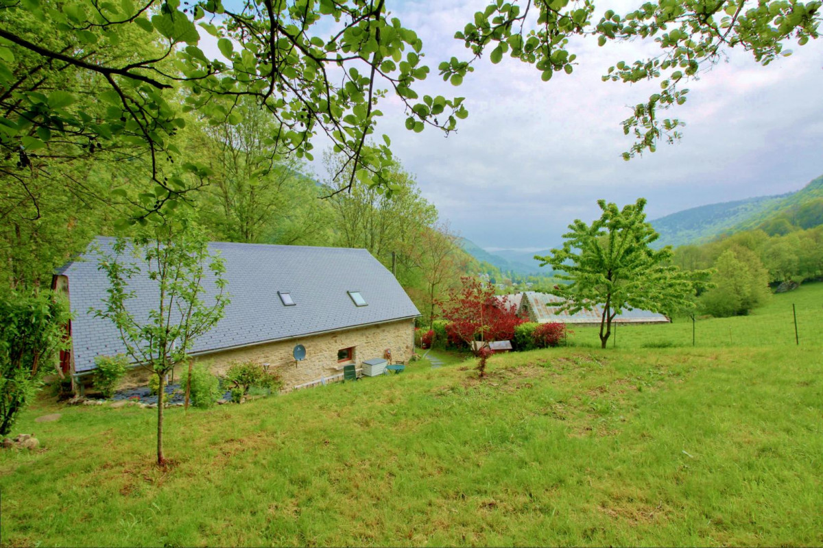 photo 0