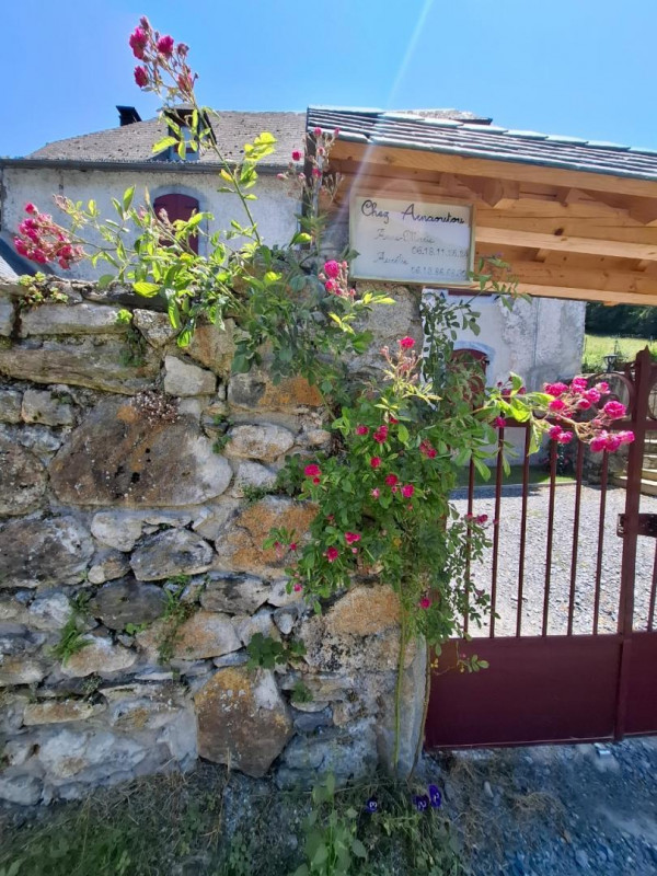 photo 37
